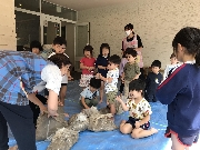 うみ組だより